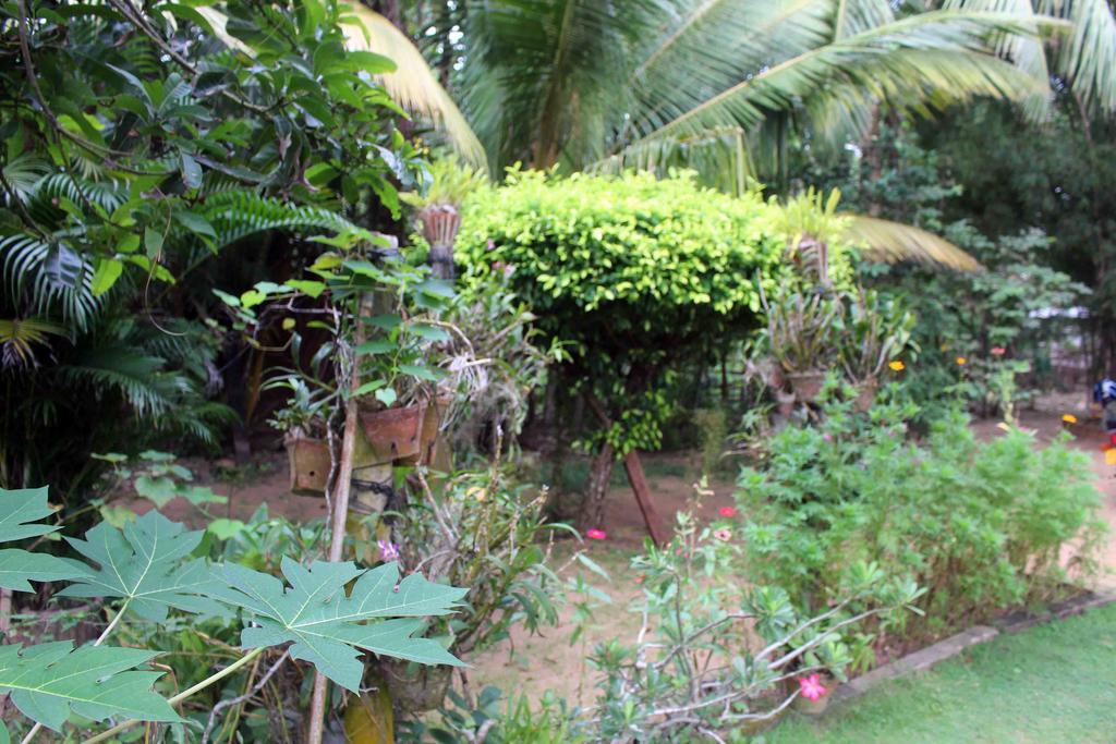 Anura Home Stay Kalutara Dış mekan fotoğraf